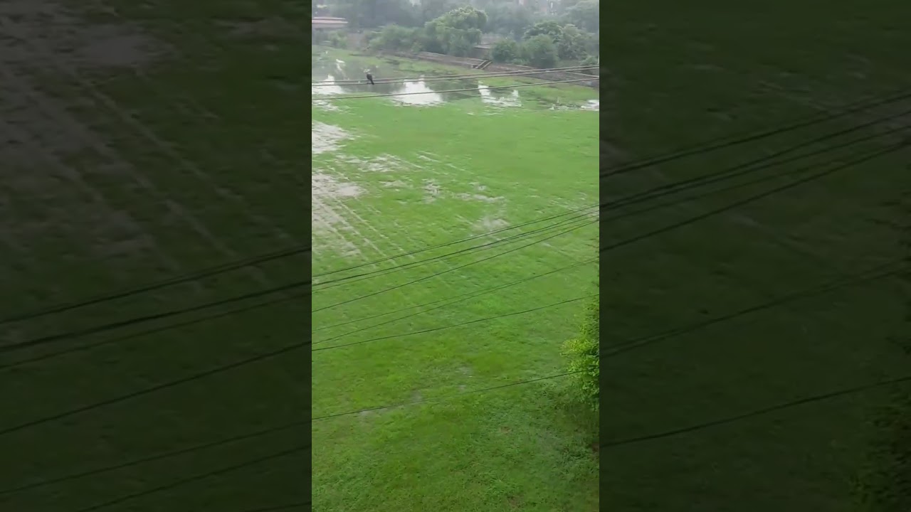Rainy day 🌧🌧 | MAO College Cricket Ground | Lahore,Punjab, Pakistan|#rain #cricket#lahore #pakistan