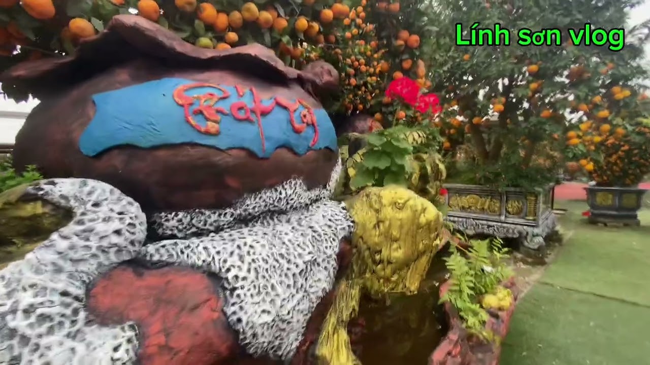 Cây cảnh mã đáo thành công của năm Bính ngọ