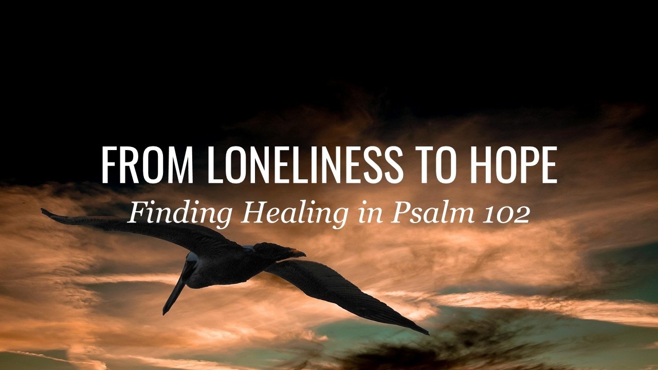 From Loneliness to Hope: Finding Healing in Psalm 102