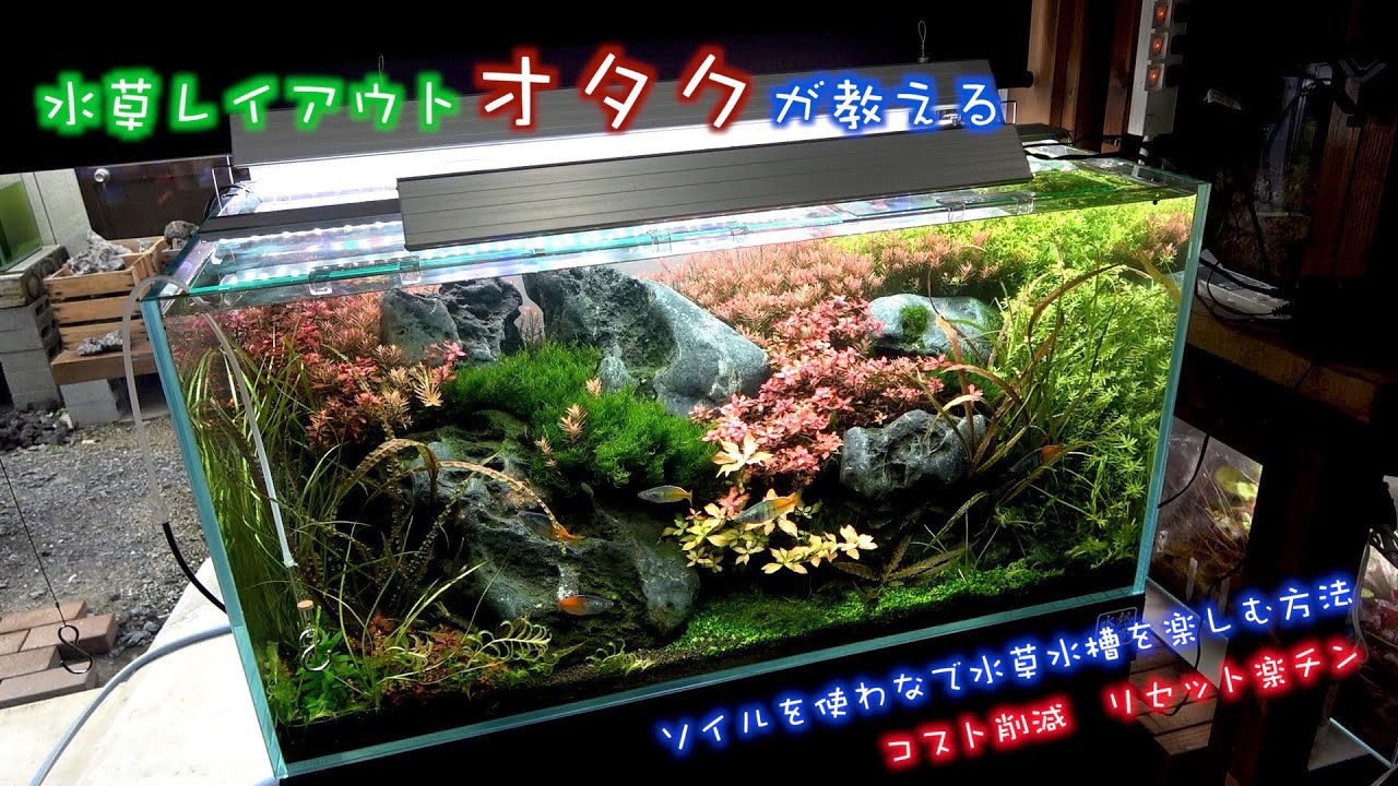 水草レイアウトオタクが教える、ソイルを使わない水草水槽立ち上げ　圧倒的コスト削減方法の秘密