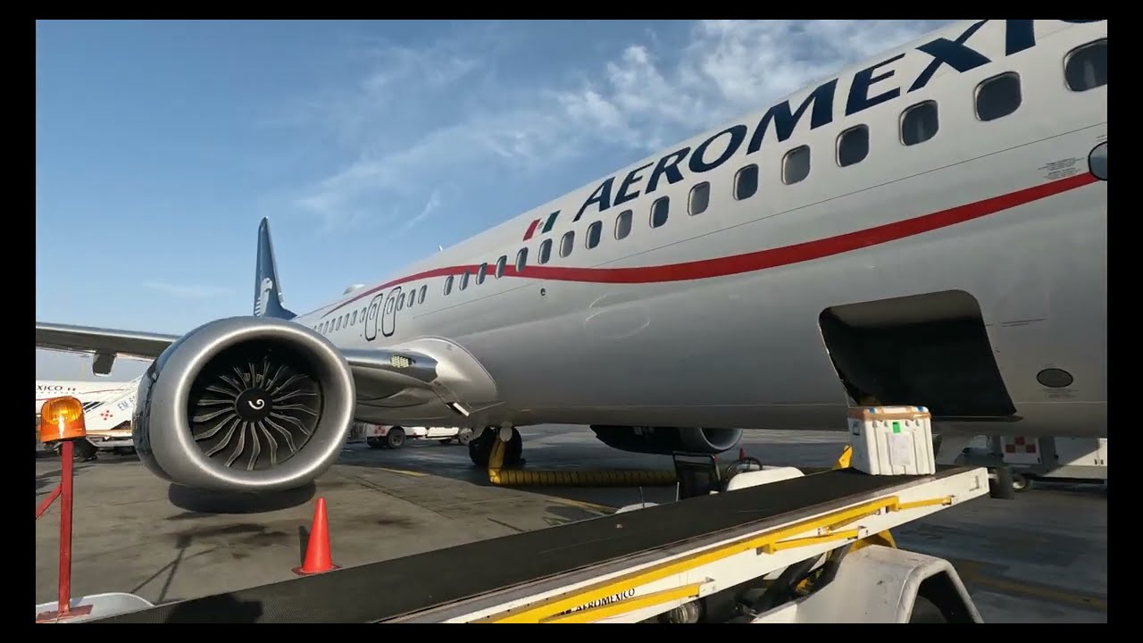 🌟Boeing 737-MAX 9 Real Exterior Inspection ( Revision Exterior )🌟