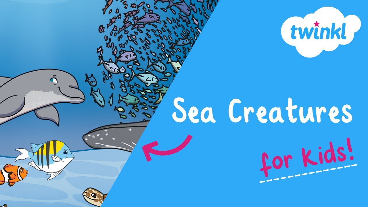 🐬 Sea Creatures for Kids | What Lives in the Ocean? | Twinkl USA