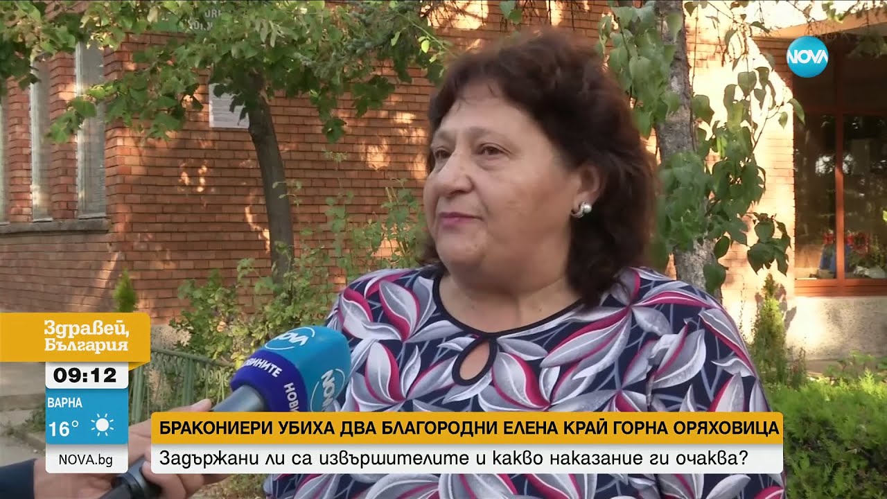 Заловиха бракониери, убили два благородни елена край Горна Оряховица- Здравей, България (12.09.2023)