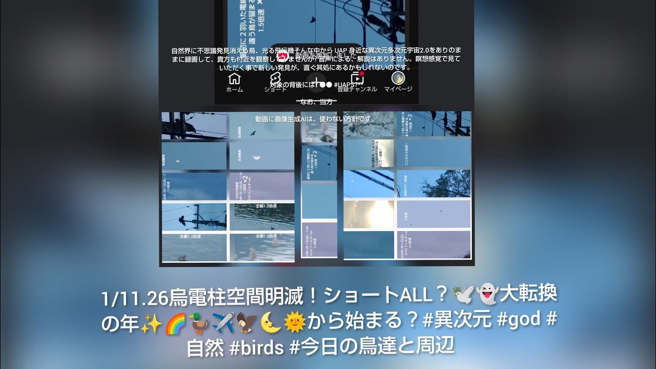 　1/11.26烏電柱空間明滅！ショートALL？🕊️👻大転換の年✨🌈🦆✈️🦅🌜🌞から始まる？#異次元 #god #自然 #birds #今日の鳥達と周辺　