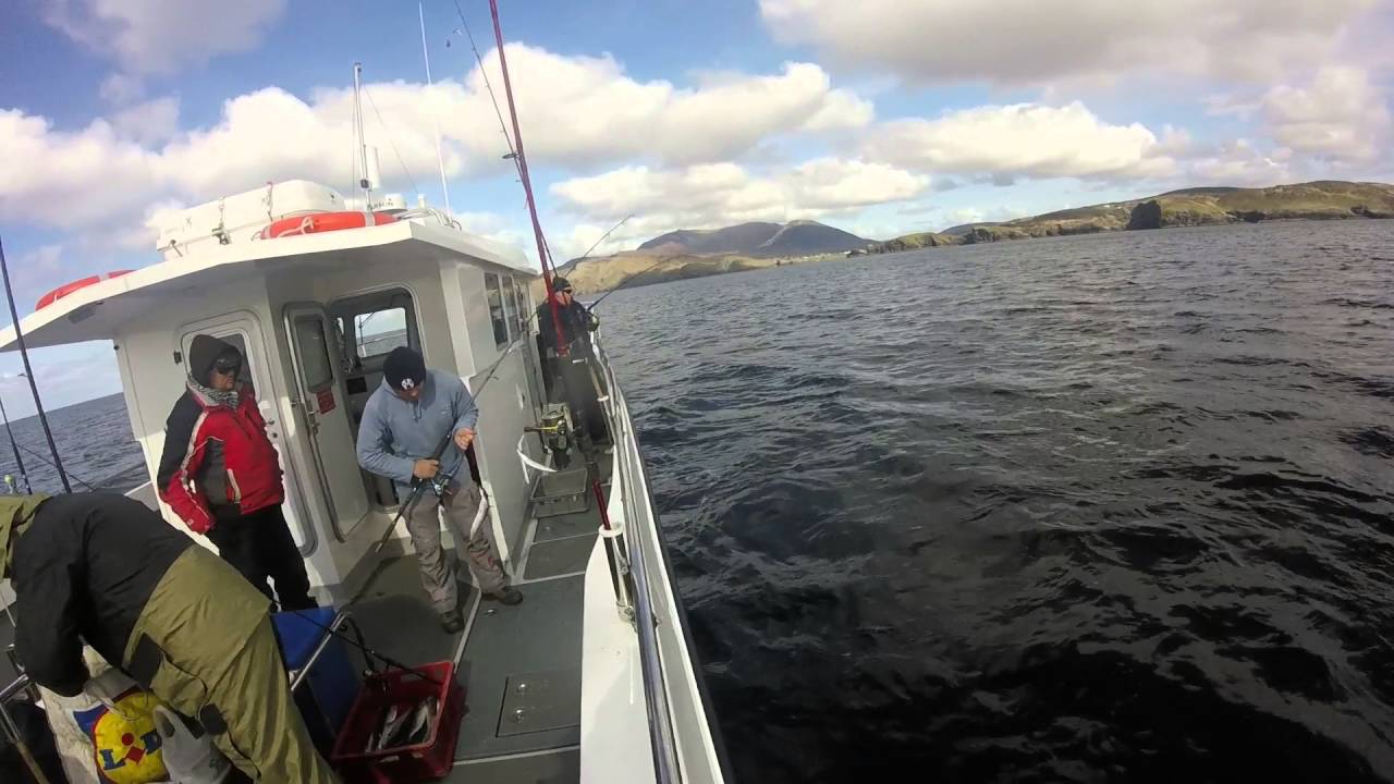 Donegal deep sea fishing, Polock, Mackerel, Cod