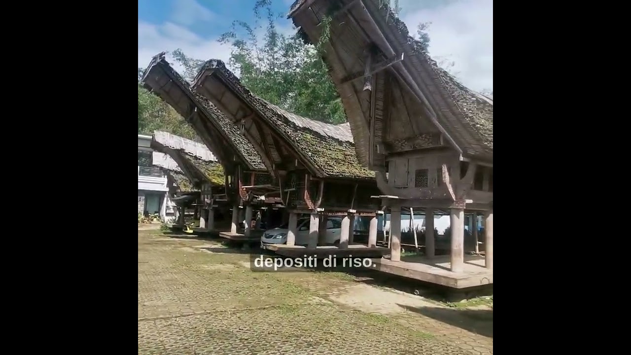 TONGKONAN KE'TE' KESU