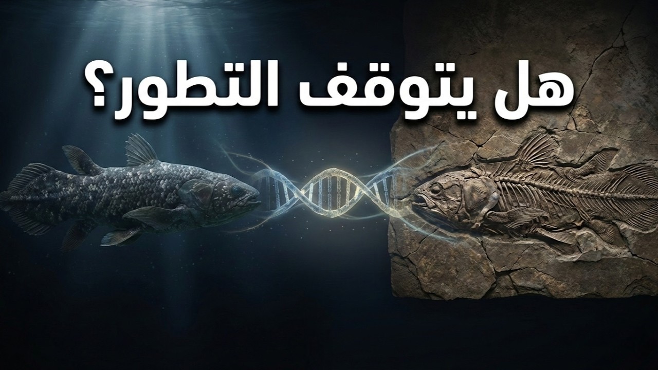 مفارقة التطور : لماذا تتوقف بعض الأنواع عن التطور… أم أنها لا تتوقف أصلًا؟