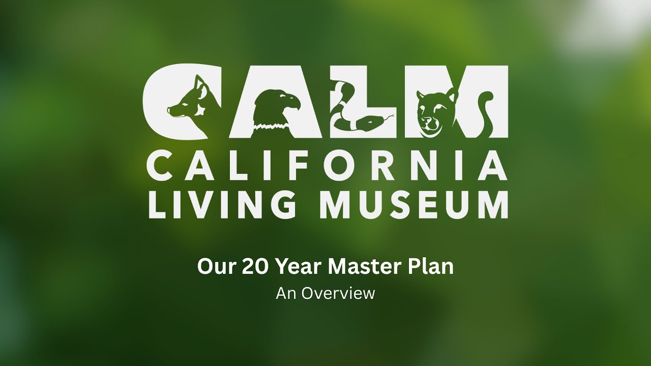 CALM Zoo’s 20-Year Master Plan Overview