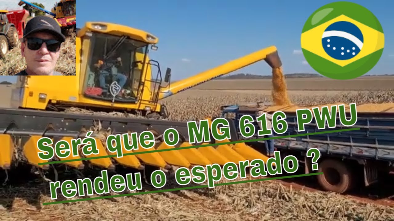 Mesmo com tantos desafios o Morgan 616 PWU , obteve um ótimo resultado no Norte do Paraná.
