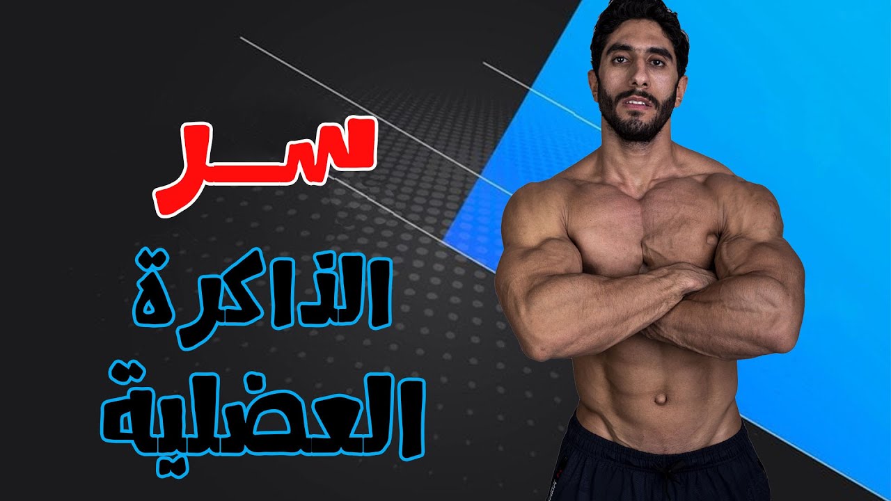 تقدر تحافظ على مكتسباتك العضلية حتى بدون تمرين !! | الذاكرة العضلية