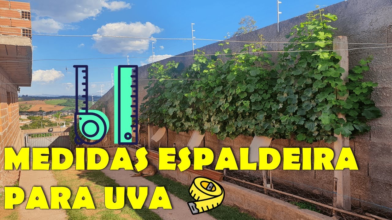 MEDIDAS DA ESTRUTURA EM ESPALDEIRA PARA UVA - Estrutura de sustentação #uva