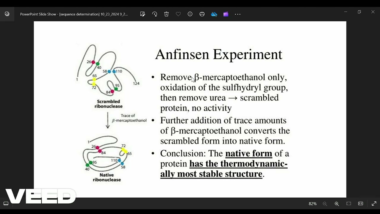How Proteins Fold: Anfinsen&rsquo;s Groundbreaking Experiments Explained Simply