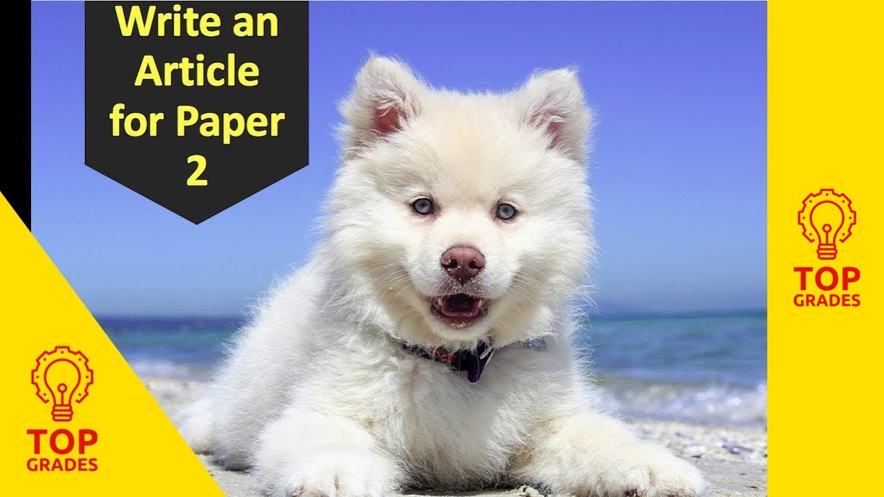 How to Write an Article (Mr Salles) Gain Grade 9 in Language Paper 2