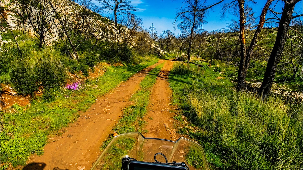 Worksbike Experience Arachoba 2025 day2 p4-Aprilia Tuareg 660 Off Road