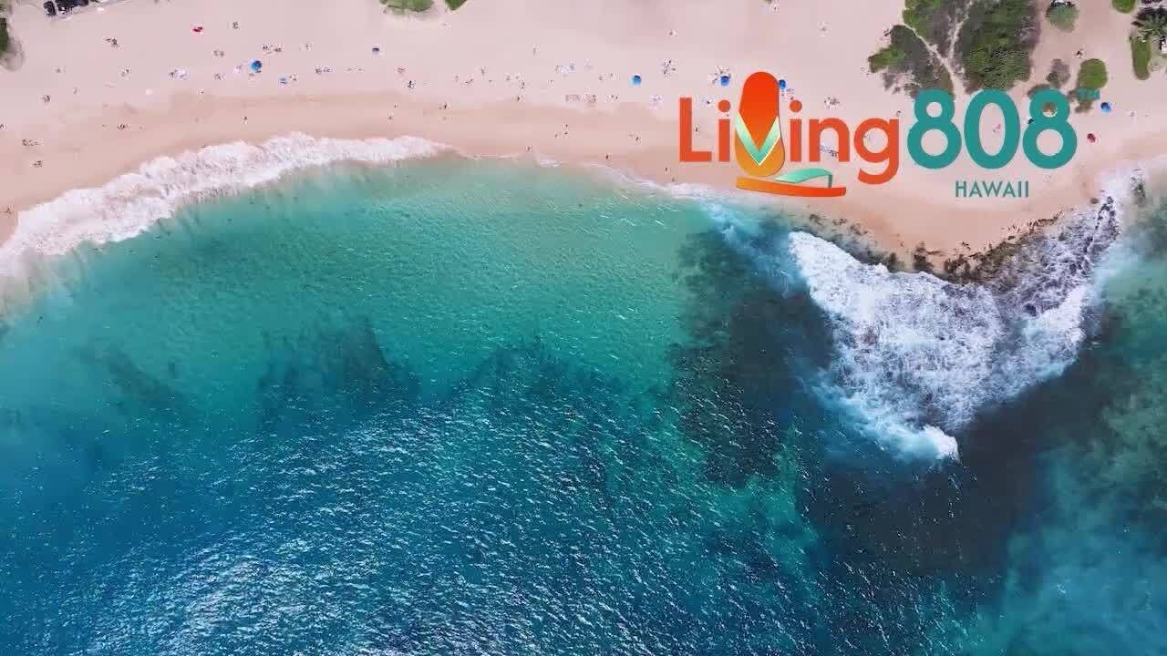 The impact of blood donation on health and community