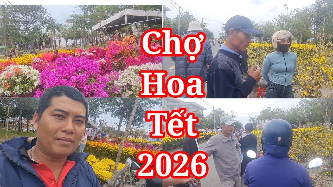 Không khí tết 2026 tại Đông Hòa Phú Yên thị trường hoa tết bán ế ẩm cần bà con mua giúp