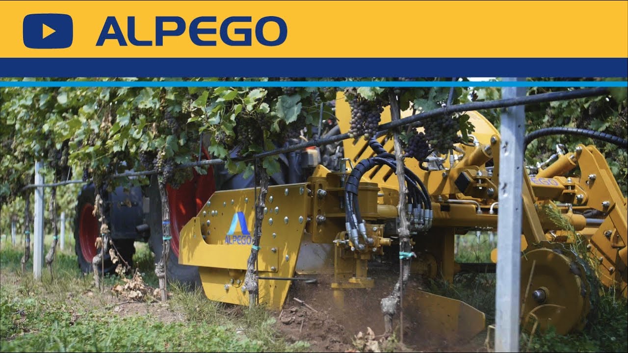 Inter-row mechanical weeding machine with a unique design ALPEGO AGILE