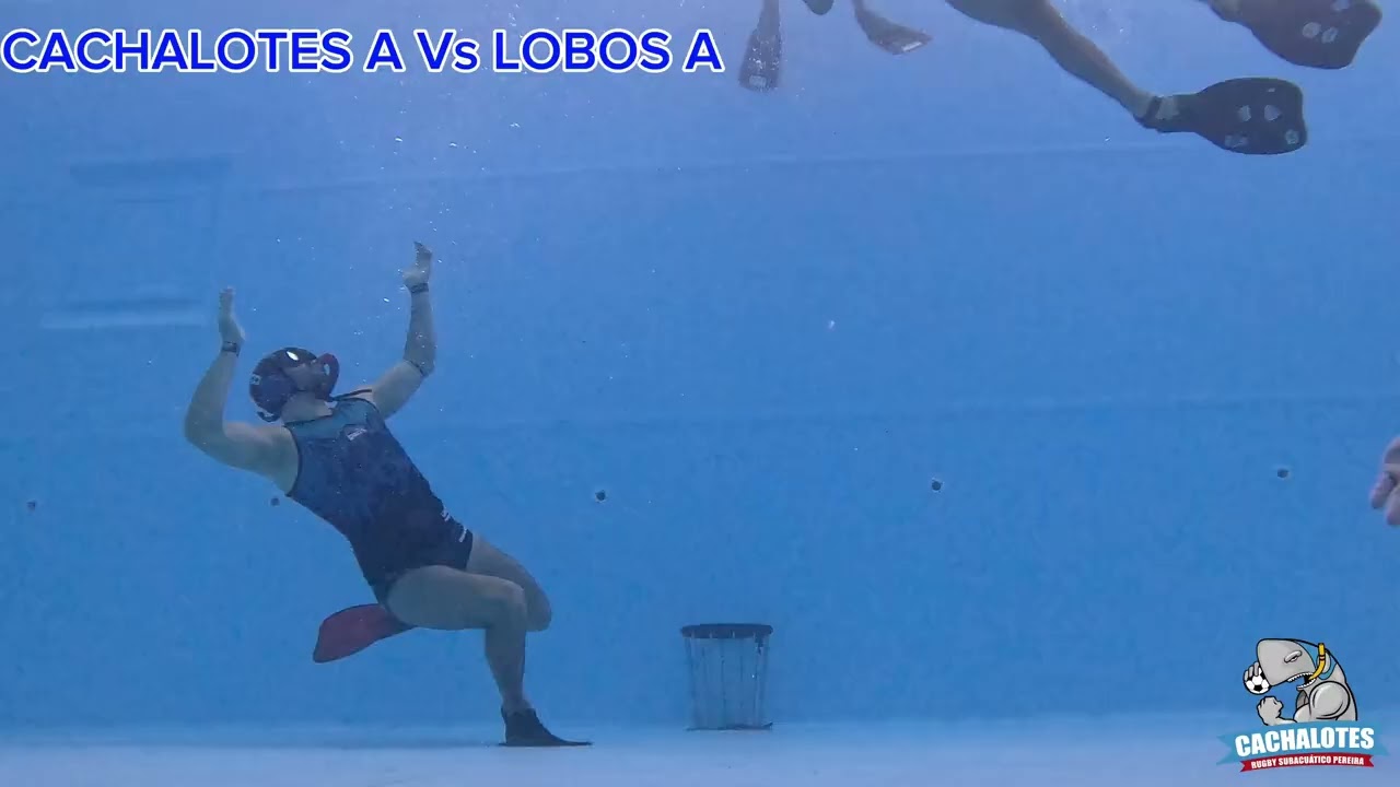 CACHALOTES A Vs LOBOS A I PARADA NACIONAL INTERCLUBES DE RUGBY SUBACUÁTICO CATEGORÍA B SEP. 2025