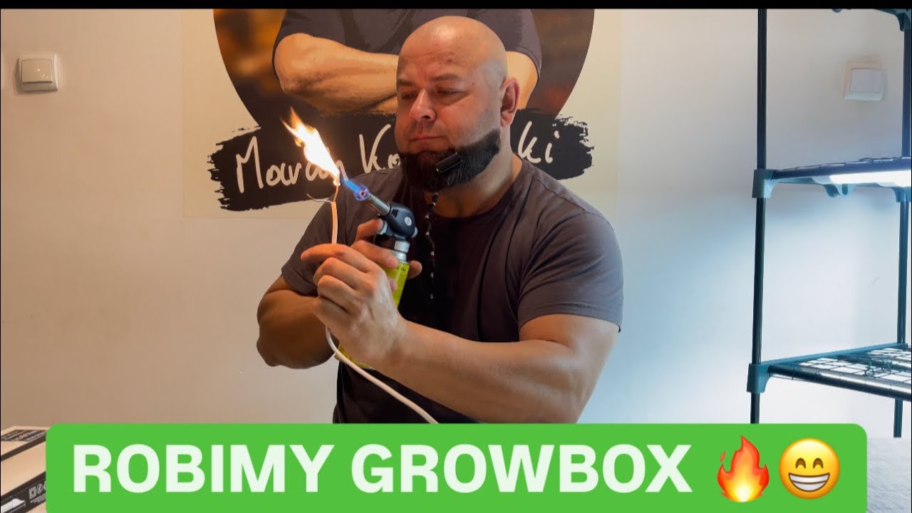 GROWBOX - domowy prosty spos&oacute;b na doświetlanie sadzonek i rozsad.