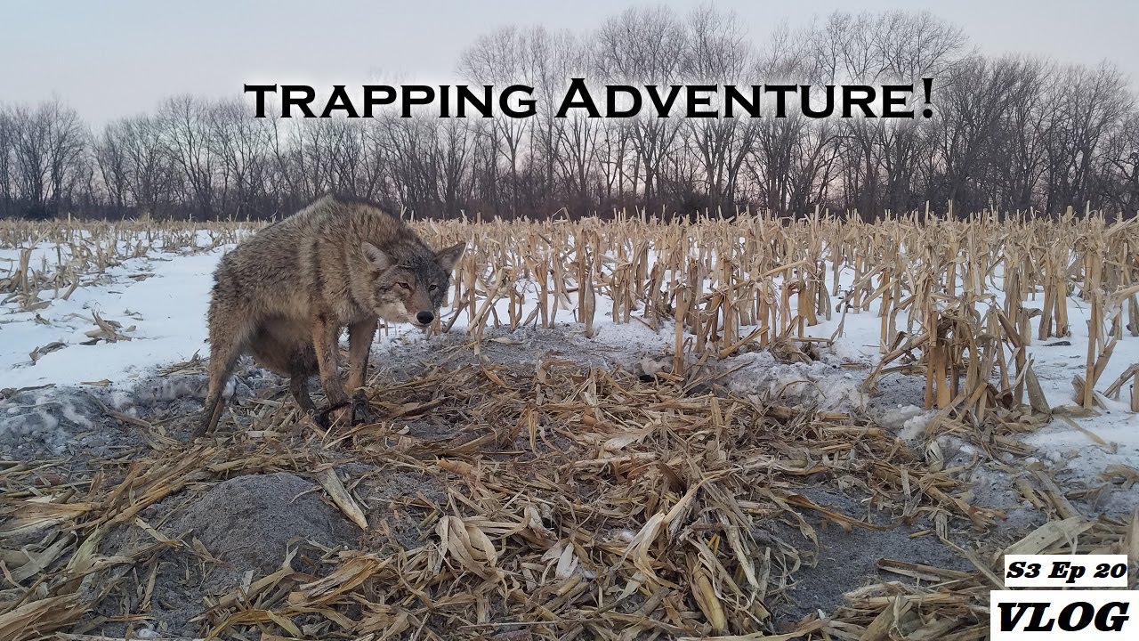 WINTER COYOTE TRAPPING w/Dirt Mound Set Construction | VLOG | S3 Ep 20