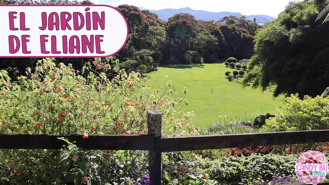 Un jardín con estilo Europeo en Colombia ¡Bellísimo recorrido!│Candy Bu