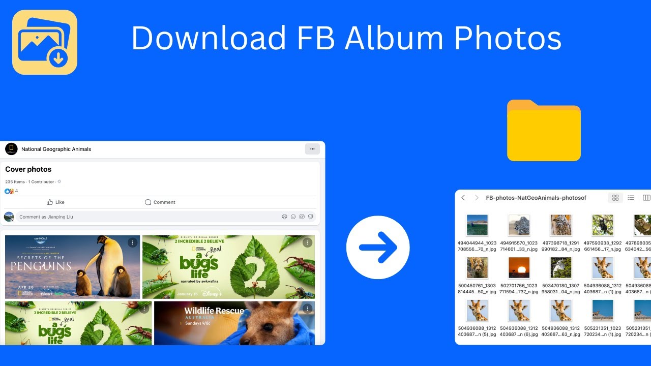 How to download Facebook album photos?