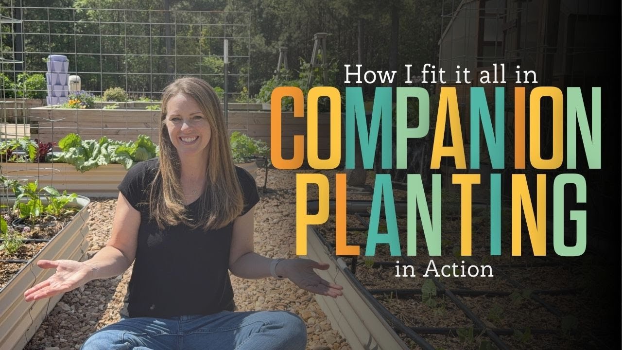Raised Bed Garden Tour: Using Companion Planting + Square Foot Gardening to Grow More in Less Space