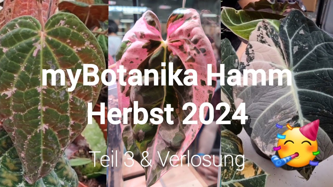 myBotanika Hamm Herbst 2024 🌱 | Teil 3 (über 50 Stände) & Verlosung
