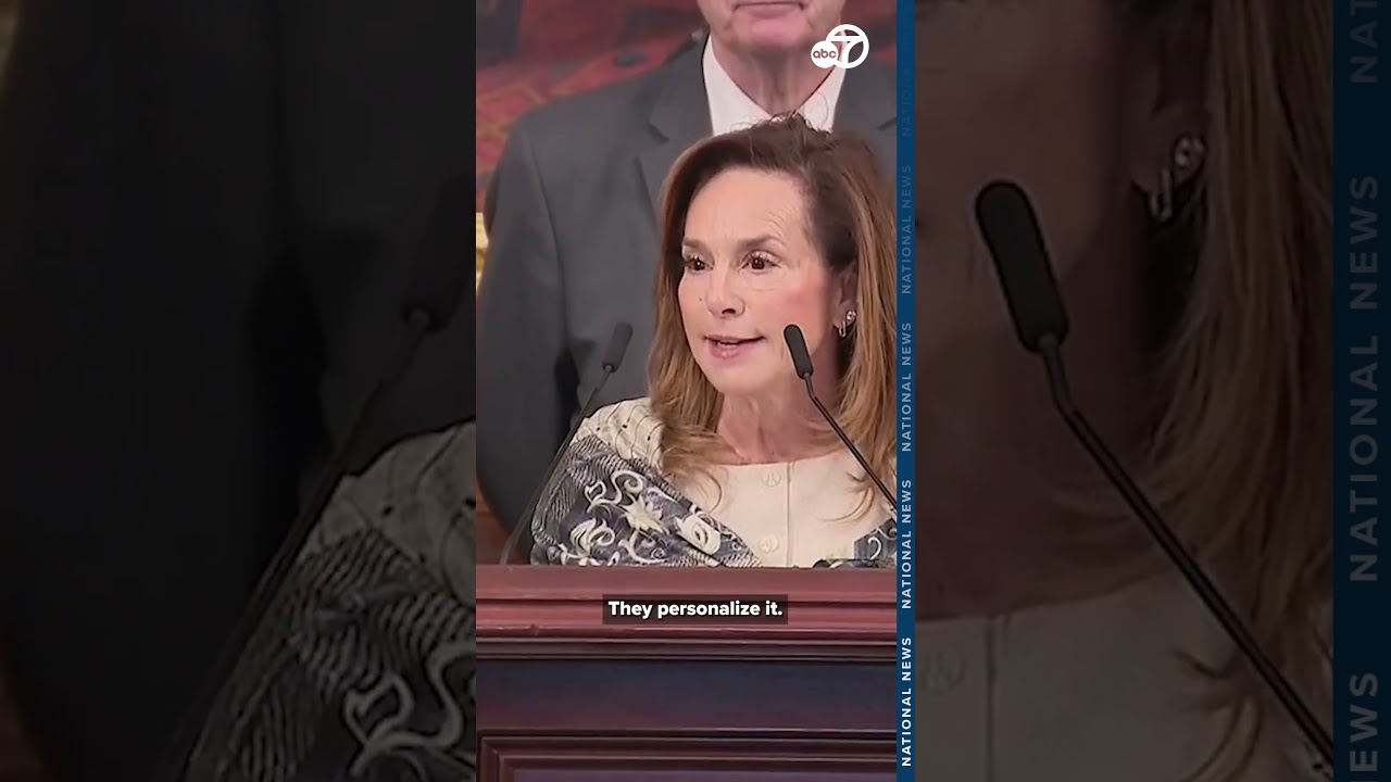 Представительница Лиза Макклейн защищает спикера Джонсона после оскорбления в интернете