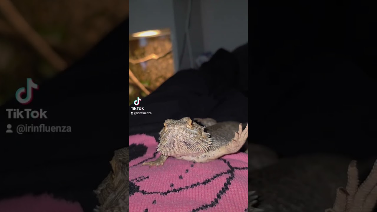 She is definitely not a morning girl 😴😁 