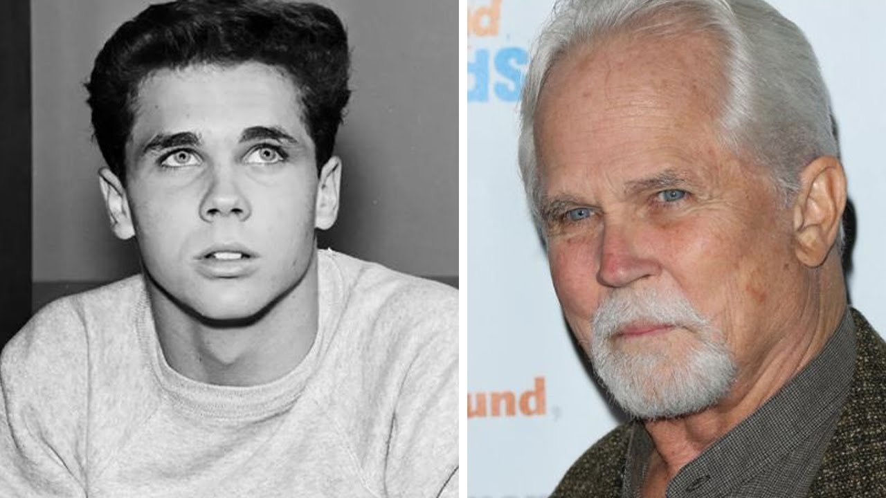 Tragic Final Days of Tony Dow, Wally Cleaver from Leave It to Beaver TV
