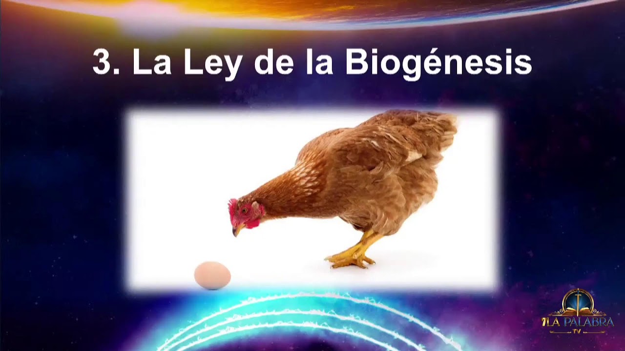 7LaPalabratv 24/7
