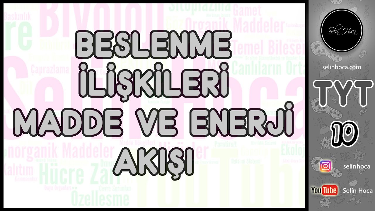 16) Beslenme İlişkileri - Madde ve Enerji Akışı