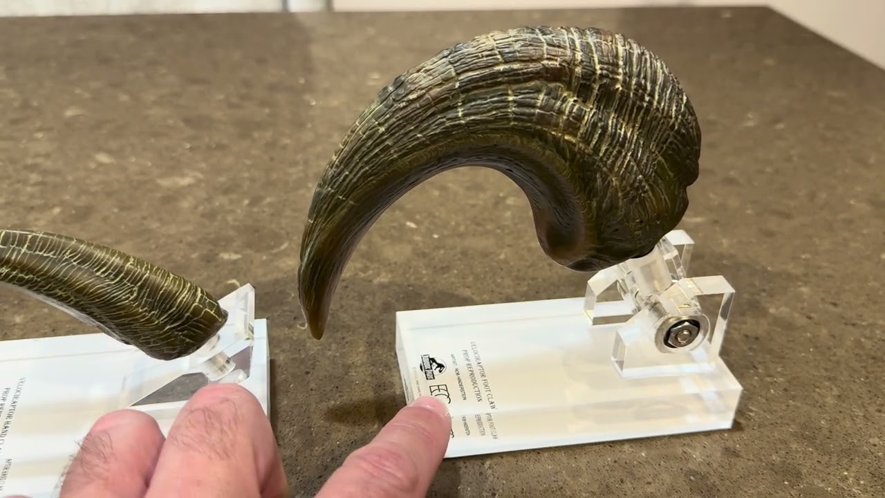 ECC Velociraptor Foot and Hand Claw Unboxing