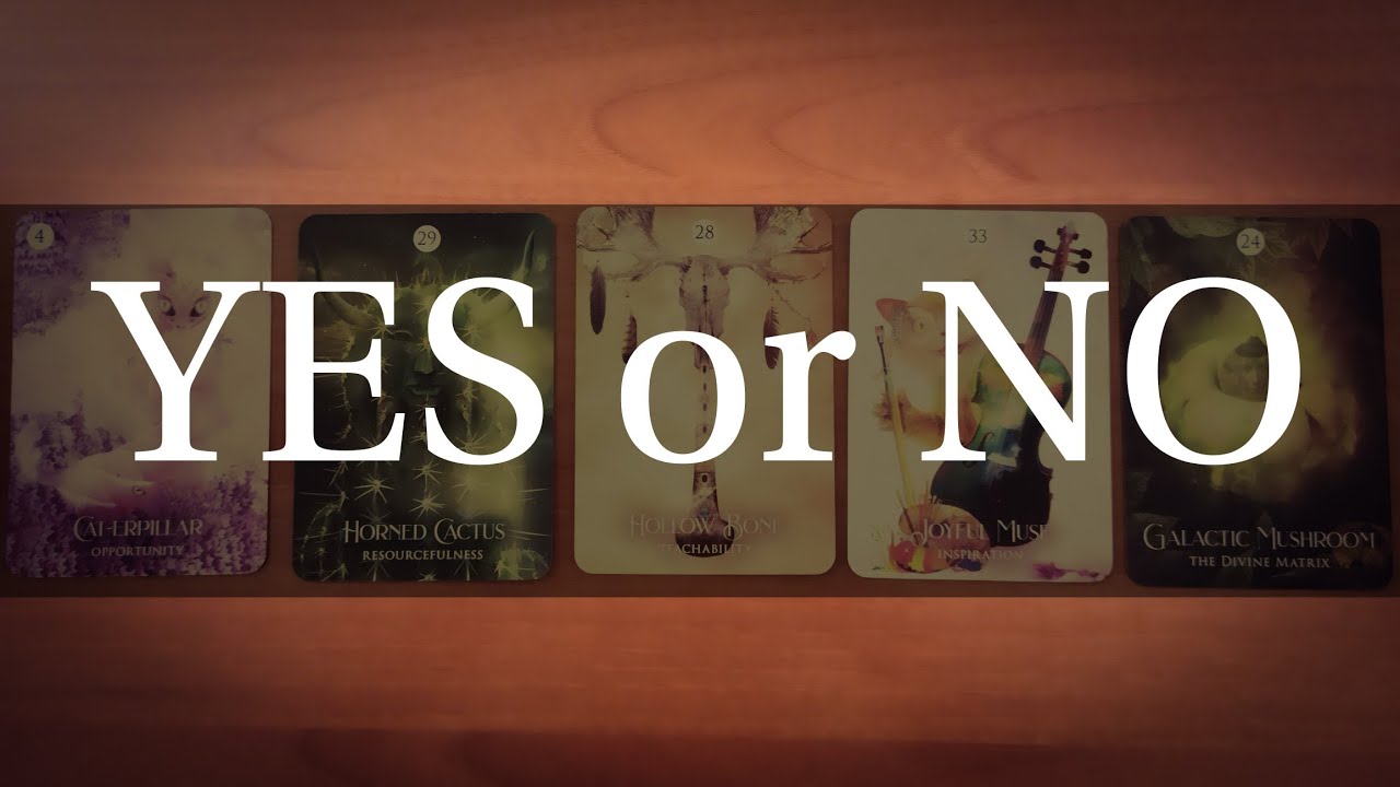 PICK A CARD: 🤔😁🌼 YES OR NO?!! 🌼😊🌸 TIMELESS TAROT READING.