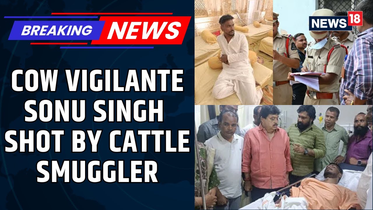 Telangana: Cow Vigilante Sonu Singh Shot At By Cattle Smuggler; Accused Linked With AIMIM | News18