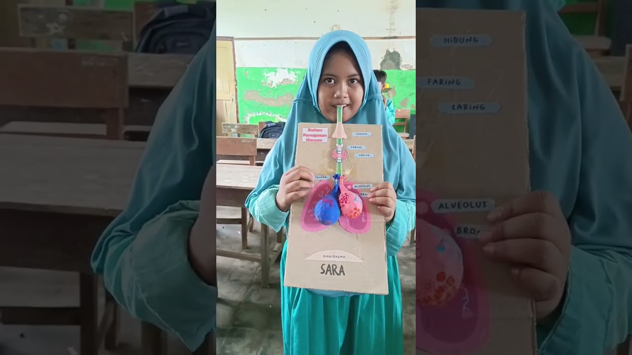 Belajar tentang paru-paru 🫁 bersama siswa kelas 5. #sdnegeri #sekolah