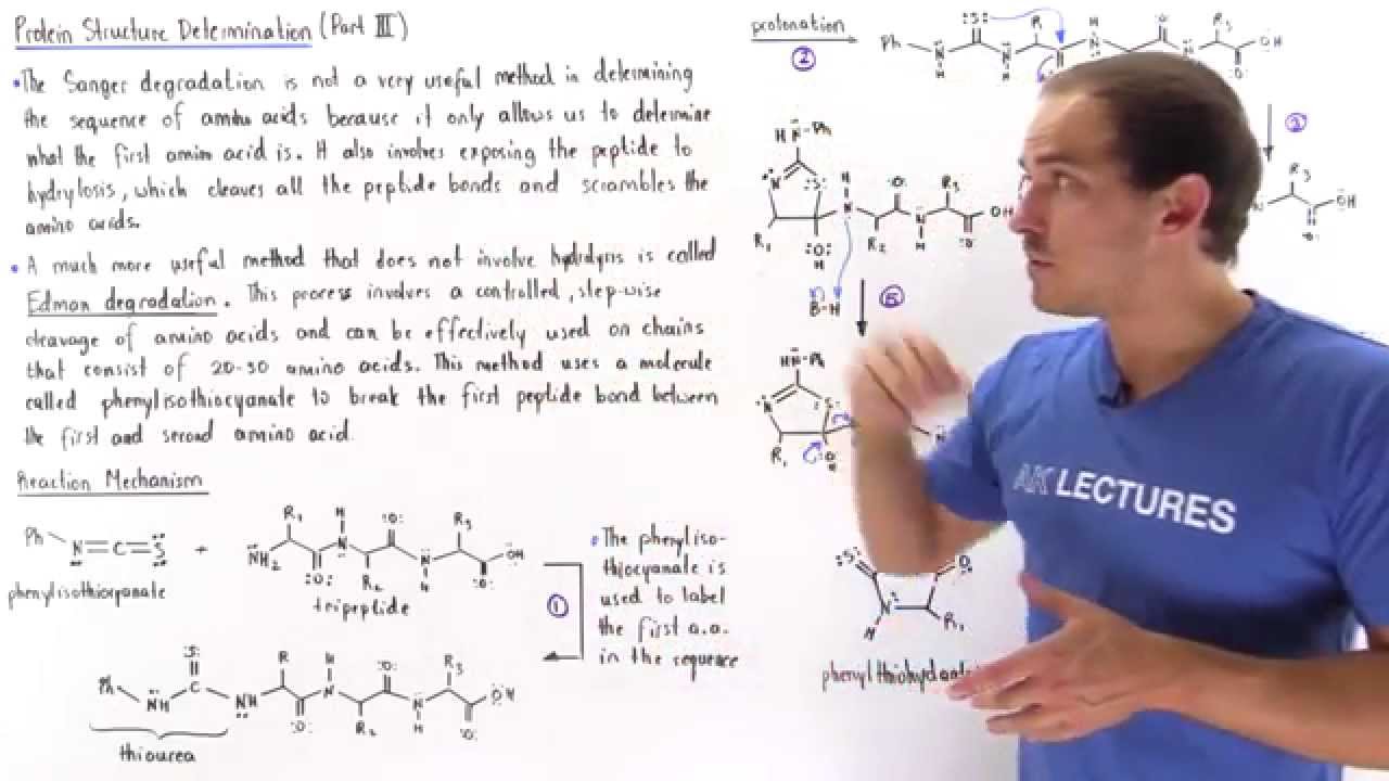 Edman Degradation