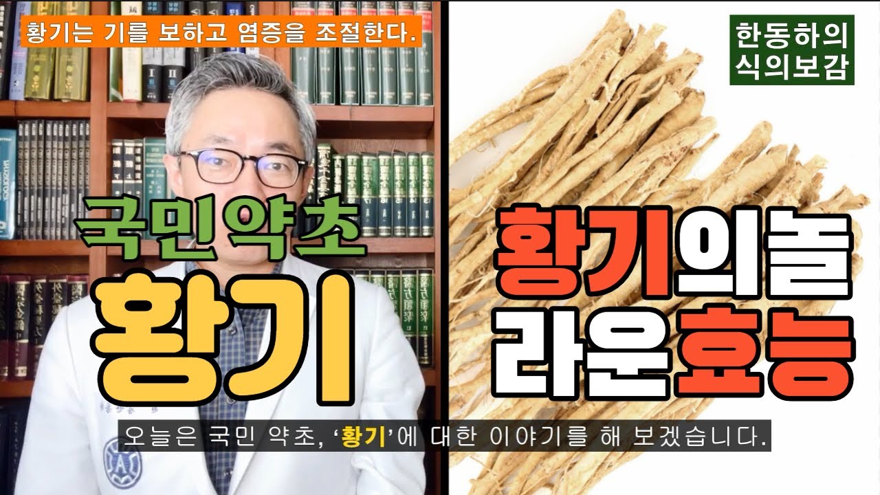 [식의보감] 황기는 기를 보하며 당뇨에도 좋고 염증을 조절한다. 알고 보면 놀라는 황기의 효능과 부작용들~!!!