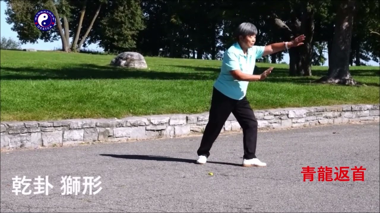 孫式八卦掌