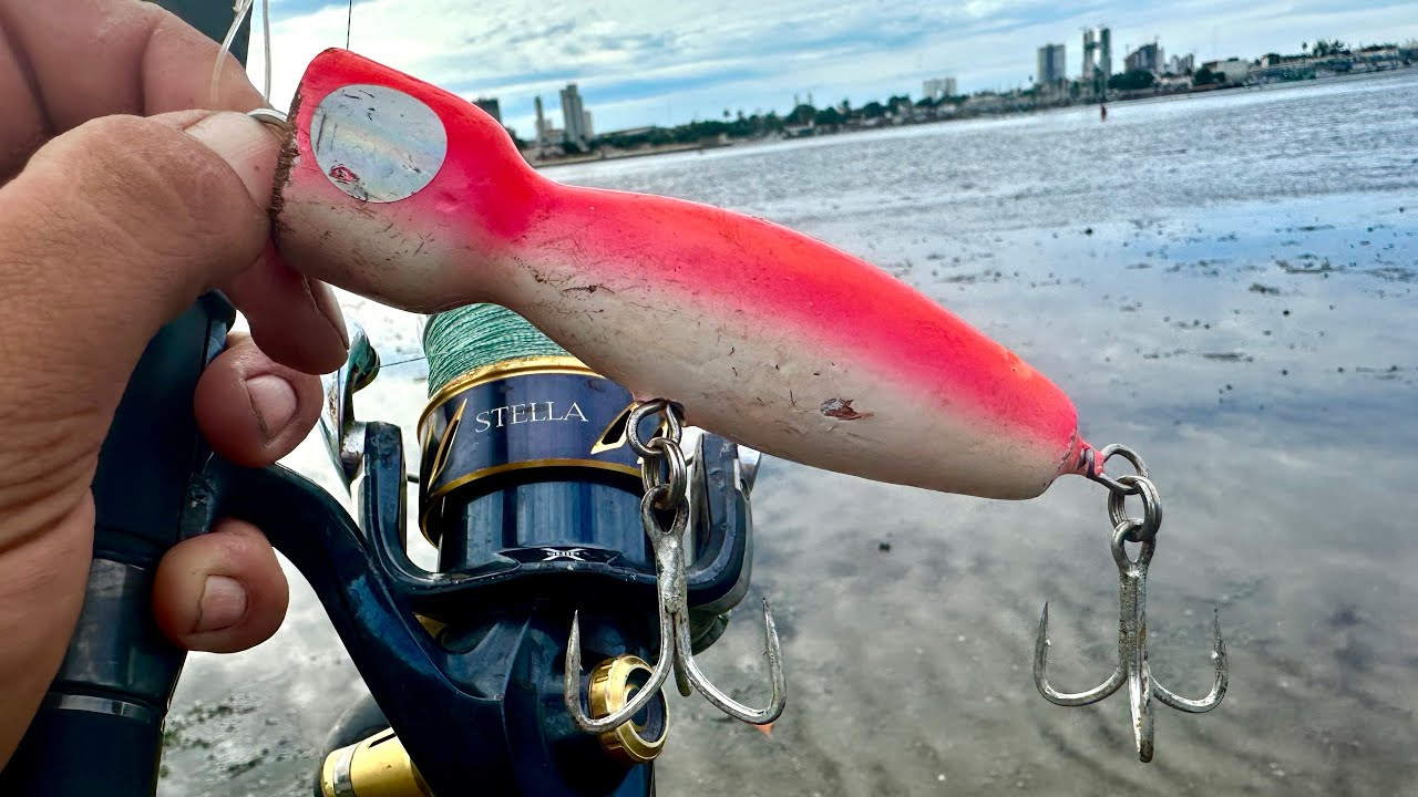 Pescando en altamar con POPPERS. 