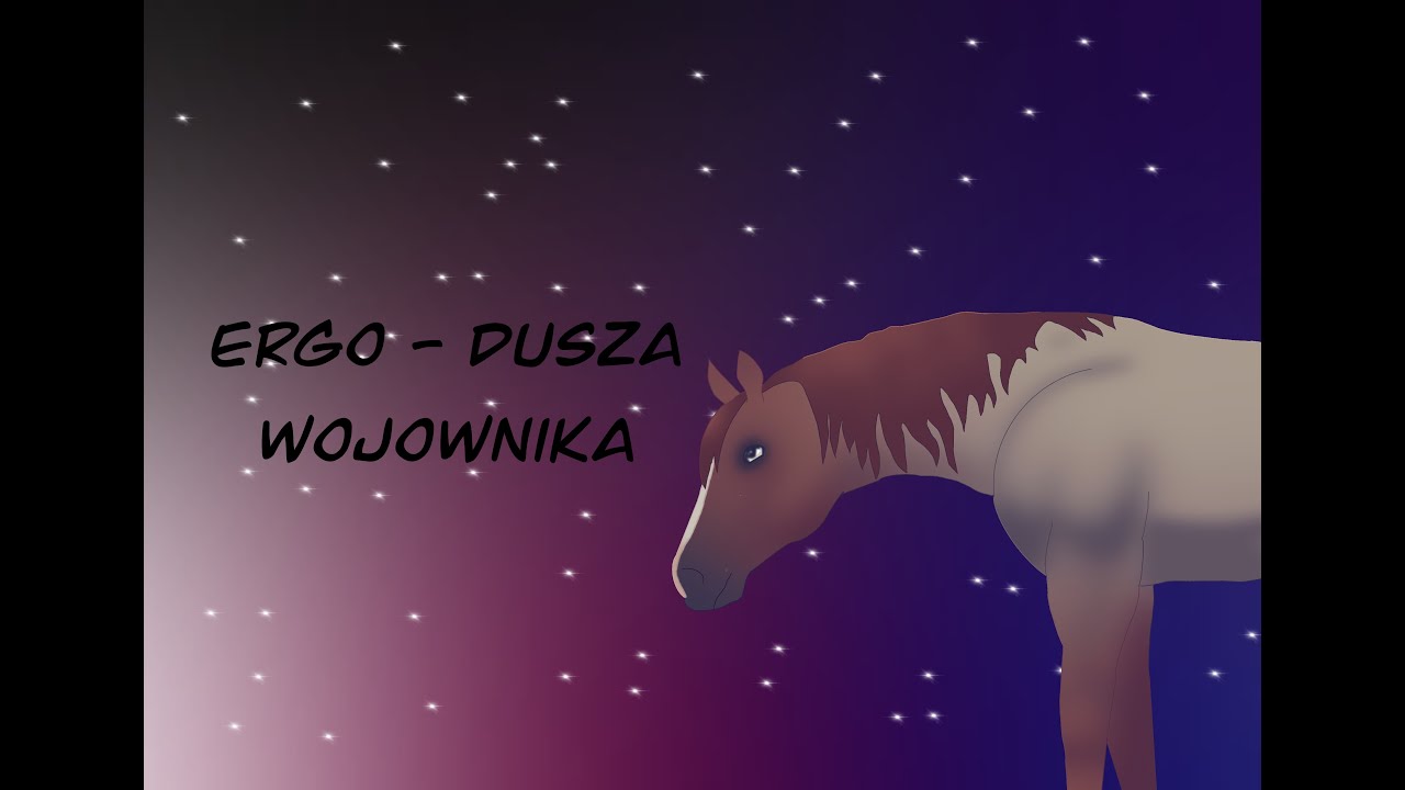 Ergo - Dusza Wojownika || sso film ||