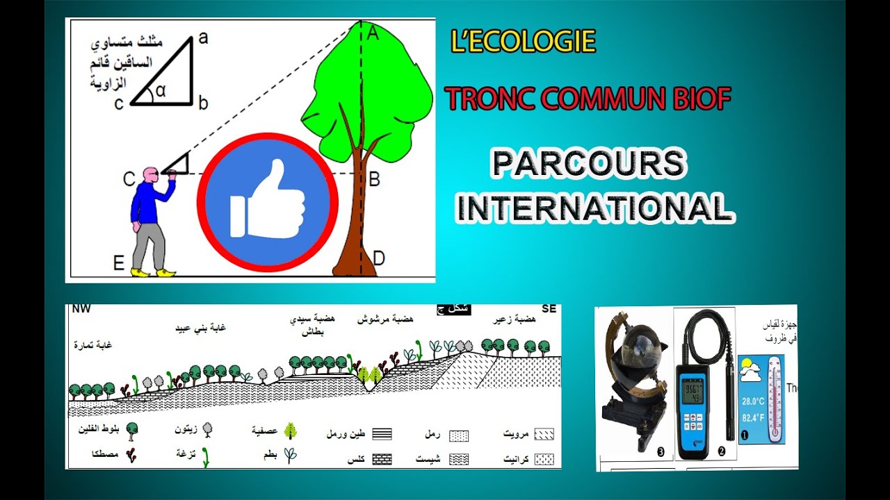 La sortie écologique tronc commun scientifique