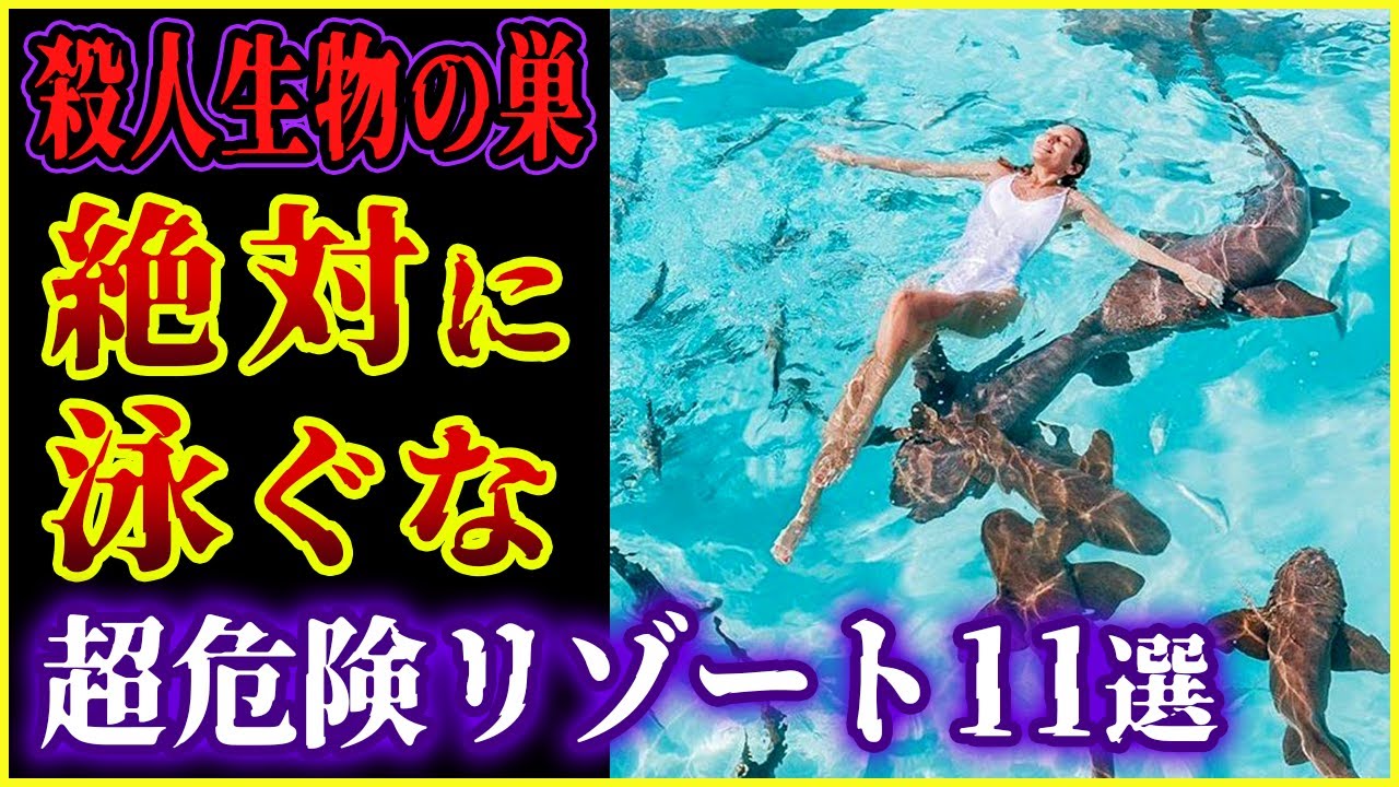 【ゆっくり解説】絶対に泳いではイケない！危険生物が棲むリゾート11選