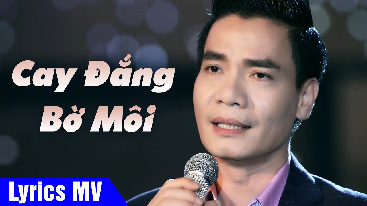 Tôi có người tình bỏ lại nơi phố ngày xưa (Có Lời Bài Hát) - Huy Cường - Cay Đắng Bờ Môi Lyrics MV