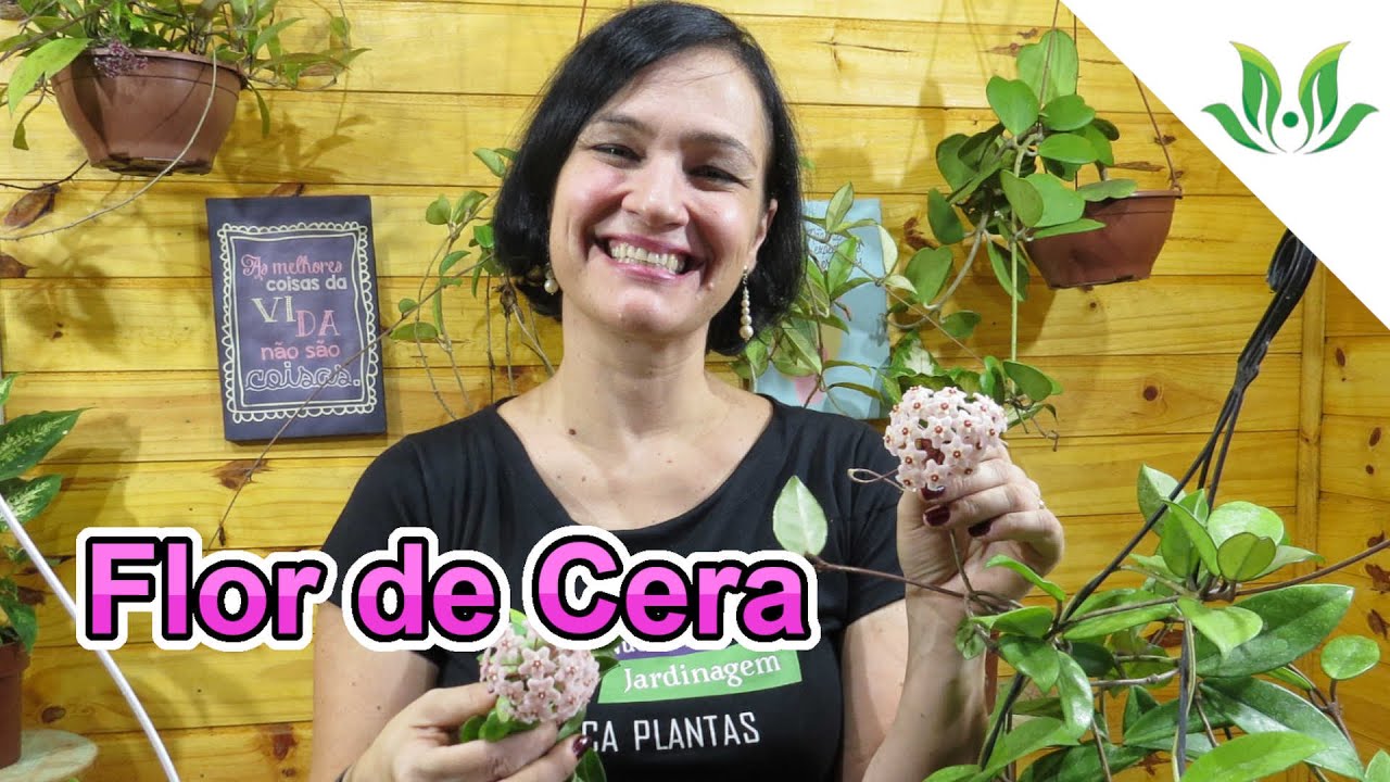 Flor de Cera