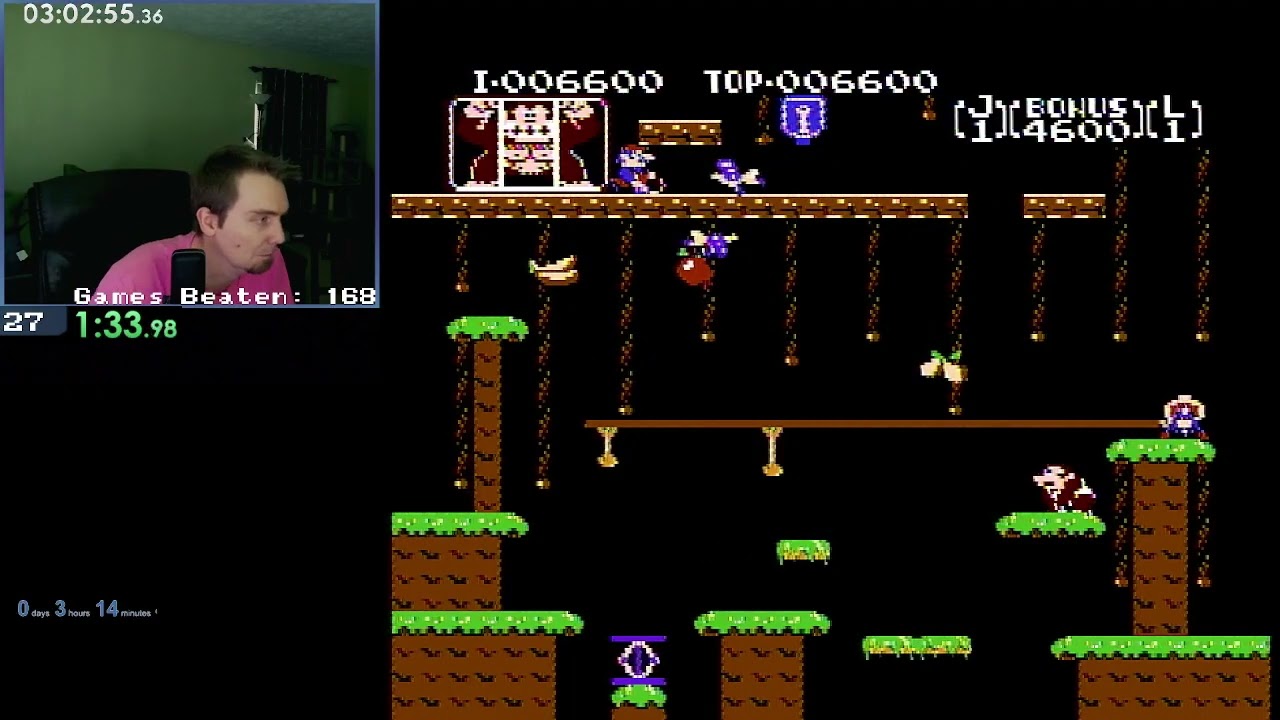 Overswarm   NES Odyssey Game #170： Donkey Kong Jr