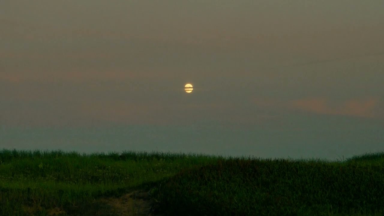 The Franklin Electric - Can't Find Your Way Out (Official Lyric Video)