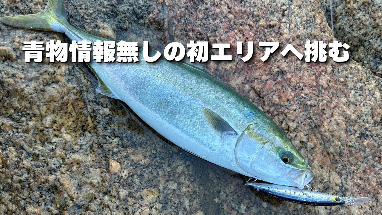 青物情報無しの初エリアへ挑む/香川県庵治沖兜島
