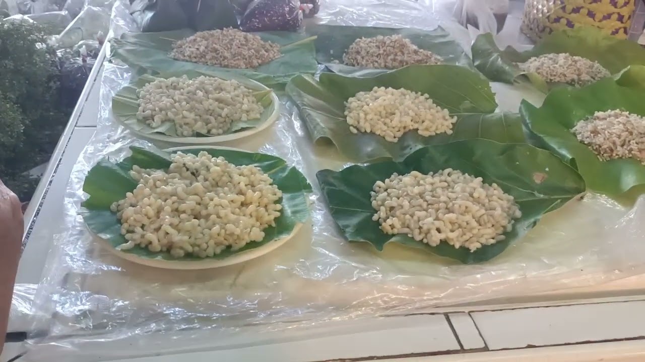 มาทำอะไรที่ร้านขายรถ!!!!ทำธุระทั้งวัน
